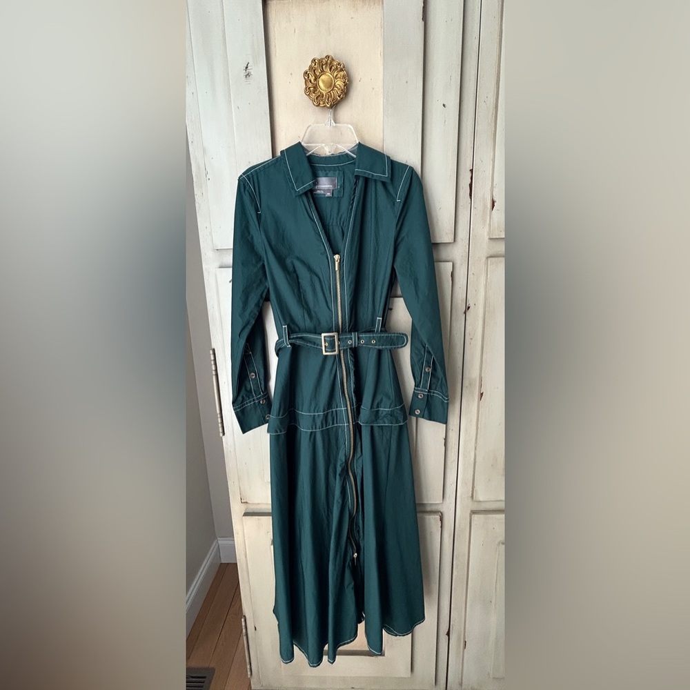 Anthropologie Long Sleeve Belted Dress with Gold Zipper.